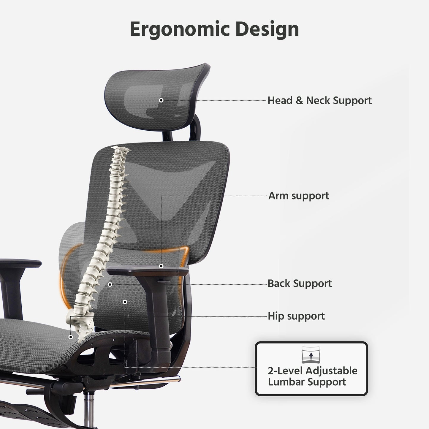 LAUSAINT HOME Mesh Ergonomic Office Chair