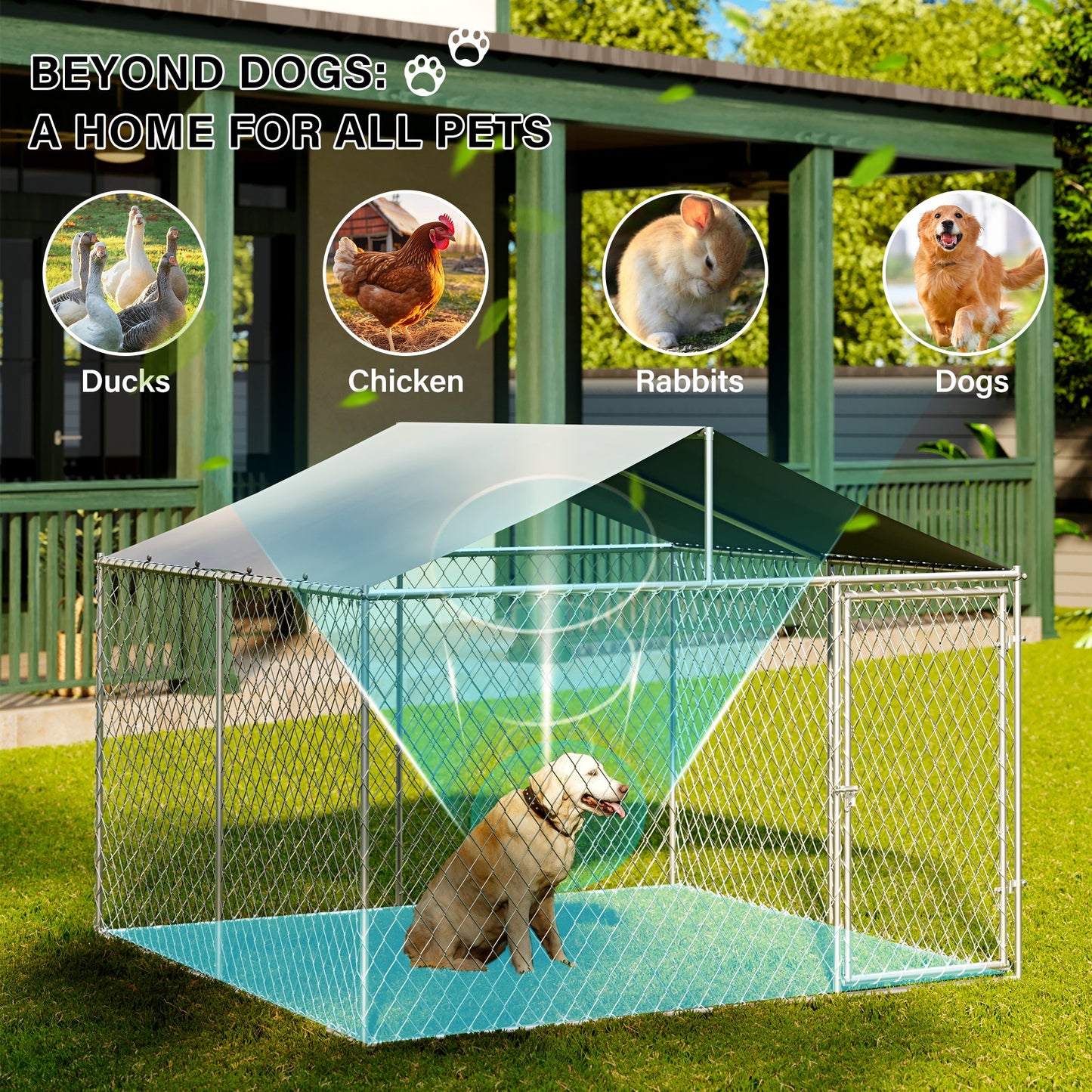 LAUSAINT HOME Heavy Duty Outdoor Dog Kennel